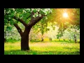 Download Lagu Spring In My Step - Silent Partner [1 hour]
