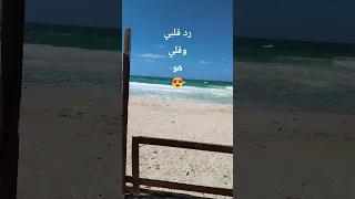 كله قالي اشمعنا هو عمرو جابر حبيبي دا  كله قالي اشمعنا هو عمرو جابر حبيبي دا