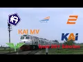 Download Lagu KAI MV (Spesial 200+ Subscribers) Lily