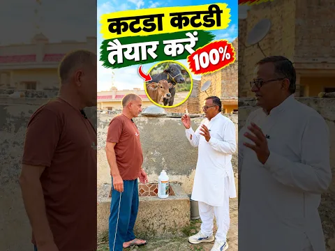 कटडा कटडी जल्दी तैयार करने का No.1 फ़ार्मूला 👌🏻 #viralvideo #dairyfarming
