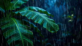 Fall Asleep Faster with Rain Sounds for Sleeping!