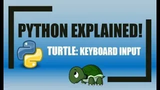 Python Using KEYBOARD INPUTS with Turtle Graphics