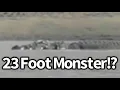 Download Lagu Giant Crocodile Found in Australia, Maximus