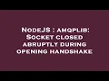 NodeJS amqplib Socket closed abruptly during opening handshake