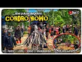 Download Lagu 🔴 SPESIAL KELILING DESA PENCOL‼️SENI JARAN JINGKRAK CONDRO MOWO FEAT CAMPURSARI‼️@agilschannel7152 