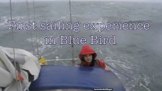 Sailing Blue Bird | first sailing experience in my Albin Ballad 30