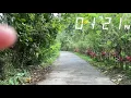 Nandito na - Kiyo (Music Video) Fan made
