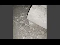 Api Semangat