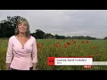 Weather images comparisons Italy vs Wales in Rome temp UK - BBC weather