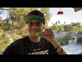 Official Packwoods x Traditional Gummies Strain Review Hall of Flowers Sample Review