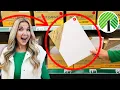 The viral DOLLAR TREE Canvas idea everyone will be copying
