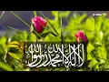 Download Lagu لا إله إلا الله ❤️ الذكر ❤️ عشرة آلاف كلمة التوحيد ❤️ استمع يوميًا لتوقظ القلب