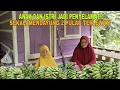 Lagu ANAK DAN ISTRI JADI PENYELAMAT..!! SEKALI MENDAYUNG 2 PULAU TERLEWATI