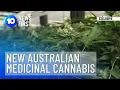 New Australian Medicinal Cannabis Company 10 News First