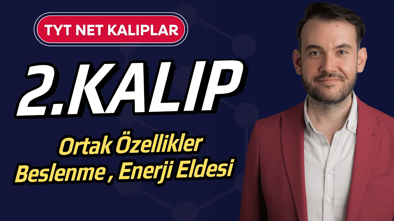 2) TYT Biyoloji Net Kalıplar l Beslenme l Besinlerden Enerji Elde Etme