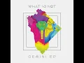 Gemini (feat. George Maple) - What So Not