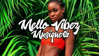 TAKO [Ketty Remixx] Jxss Riddim 2026🇻🇺