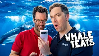 Do whales drink milk?