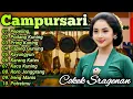 Download Lagu SRAGENAN CAMPURSARI KOPLO TERBARU FULL BASS - CAMPURSARI JAWA PALING NGETOP - LANGGAM CAMPURSARI