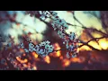 ❰Progressive House❱ Sappheiros - Lights
