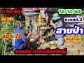 Download Lagu ตามต่อ.16.ต.ค.68.ต้นตะเคียนย่าใหญ่.ให้.3.ตัวตรงอีกแล้ว.สายป่าเมตตาจิต.สาธุ.ๆๆ.รีบๆๆก่อนดังไกล