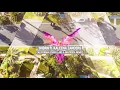 SNBRN ft. KALEENA ZANDERS - California (Chris Lake & Matroda Remix)