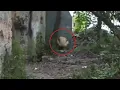 Download Lagu Penampakan Mengerikan di Kebun! Membuat Pria ini Lari Terbirit-birit saat Melihatnya