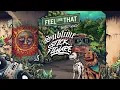 Sublime X Stick Figure – "Feel Like That (feat. Bradley Nowell)"