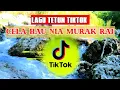 Lagu Tetun Viral TIKTOK ✔️ CELA HAU NIA MURAK ♥️♥️
