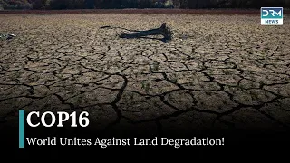 cop16 in saudi arabia tackling global drought and desertification news today drm news ap1b