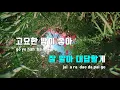 [TJ노래방] Belief(유미의세포들OST) - 정승환 / TJ Karaoke