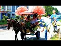 Download Lagu Naik delman istimewa~lagu anak populer Indonesia~lagu anak balita~kuda tunggang
