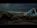 Saving Leatherback Turtles Blue Planet II BBC Earth