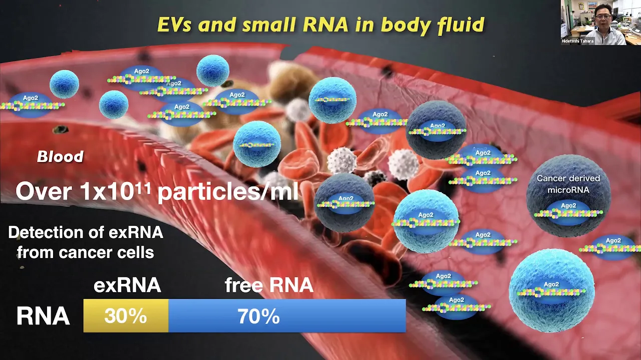 EVs derived small non-coding RNAs as biomarkers by Hidetoshi Tahara