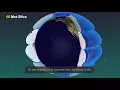 What is global circulation? | Part Two | The three cells