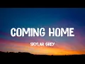 Download Lagu Skylar Grey - Coming Home (TikTok Remix)(Lyrics) I'm coming home