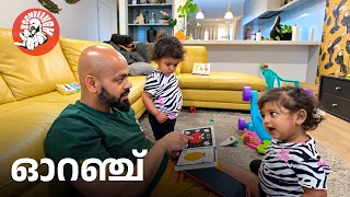 Daily Vlog EP. 207 | ഓറഞ്ച് | Family Vlog | Malayalam | @BoomBaangh