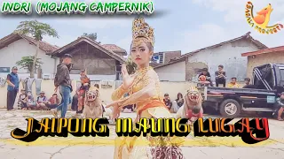 Download INDRI MOJANG CAMPERNIK - JAIPONG MAUNG LUGAY | SAGALA PROJECT MP3