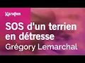 Download Lagu Karaoke SOS d'un terrien en détresse - Grégory Lemarchal *