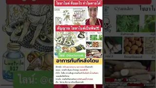  อาหาร 3 ชนิดที่มีไซยาไนด์ซึ่งคนไทยชอบกินโดยไม่รู้ตัวคืออะไรบ้าง 