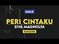Download Lagu Peri Cintaku - Ziva Magnolya (Karaoke) Male Key