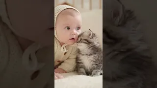 Baby Laughs Kitten Answers The Cutest Friendship Ever 