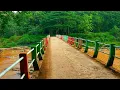 Download Lagu Virtual Walk - Relaxing Evening Walk Around Kali Kuto River - Nature Sounds Relaxing Music