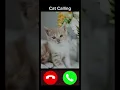 Download Lagu #catcalling #funnycallringto #ringtone