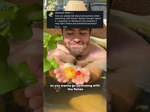 How to go SWIMMING with your GOLDFISH