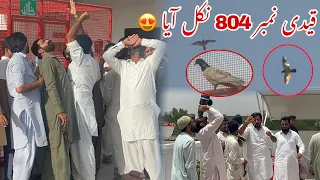                                           دندنها