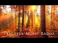 Download Lagu Peaceful Music Radio Vol.5  |  2022.10.10演奏会の即興演奏 / Yuusuke