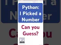 Number Guessing Game Can you beat Python