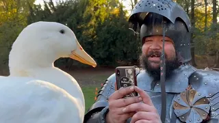 I took my duck to Knights ⚔️