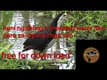 Download Lagu huni Ng tikling o breasted water hen para sa inyong silo